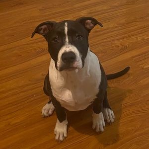 Meet your Posher, Alejandra